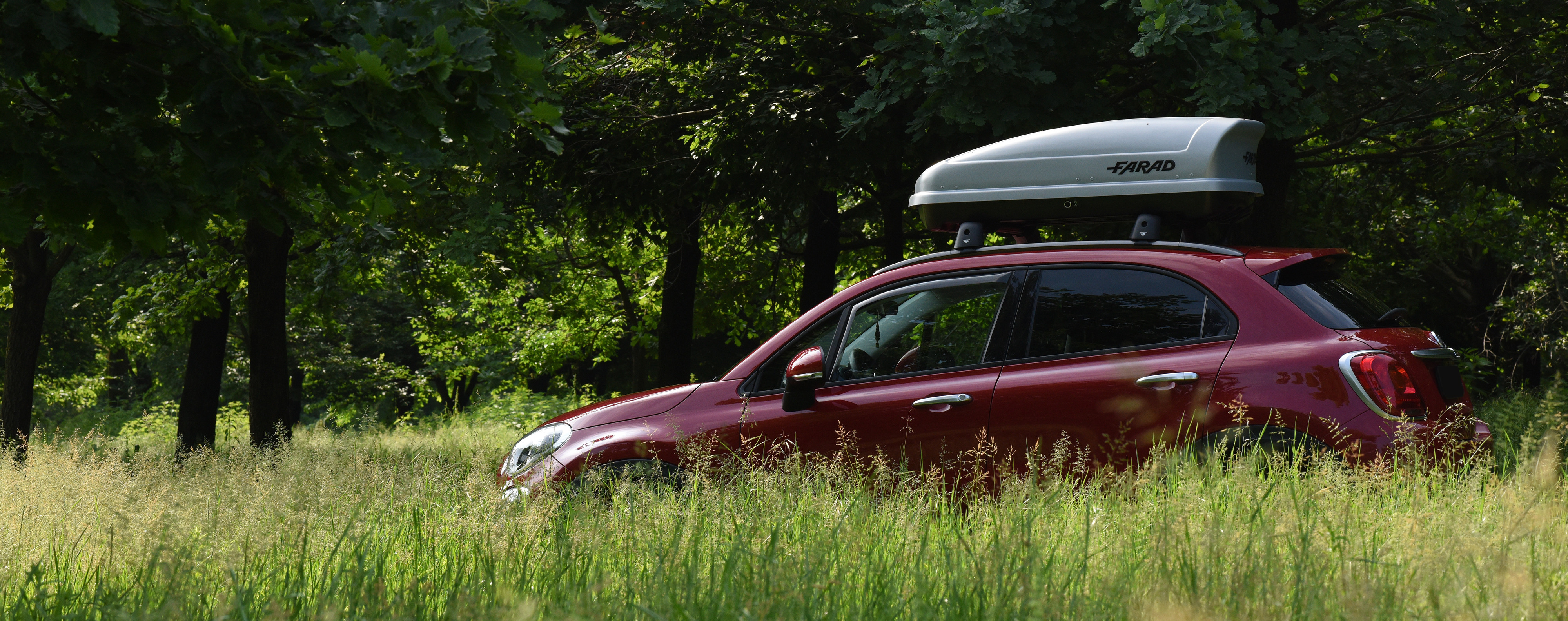 Fiat 500x online roof box